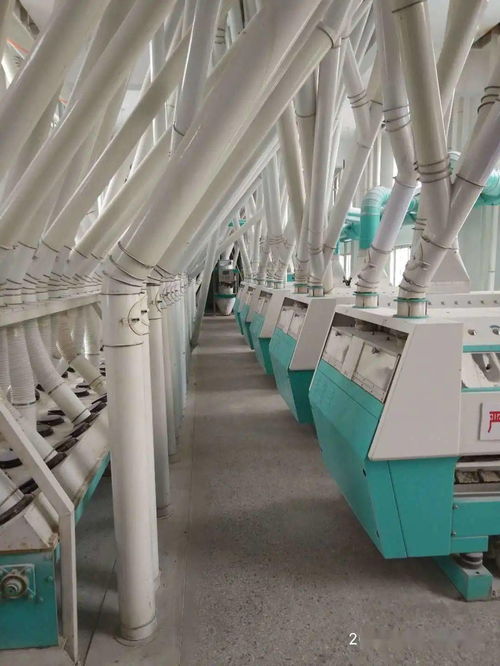 梁山縣新豐面粉廠 誠(chéng)邀全國(guó)經(jīng)銷商，共拓勞動(dòng)保護(hù)用品銷售新藍(lán)海